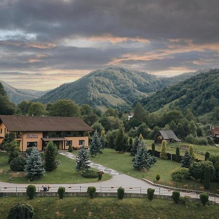 Pensiunea Rau Sadului Bagian luar foto