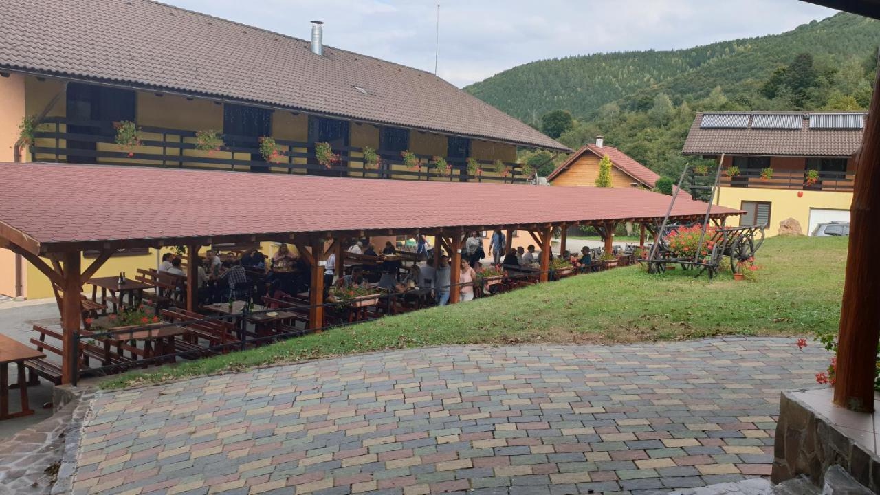 Pensiunea Rau Sadului Bagian luar foto