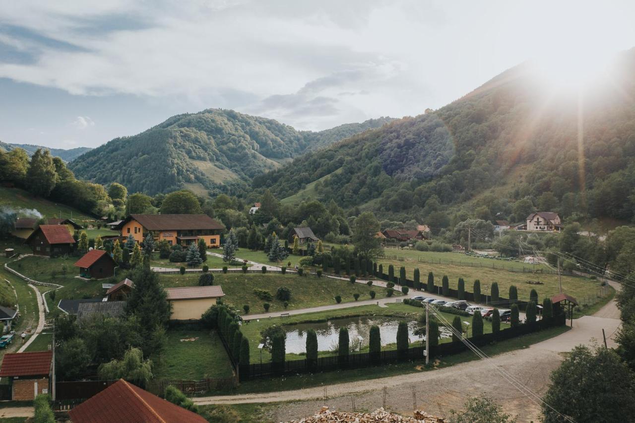 Pensiunea Rau Sadului Bagian luar foto