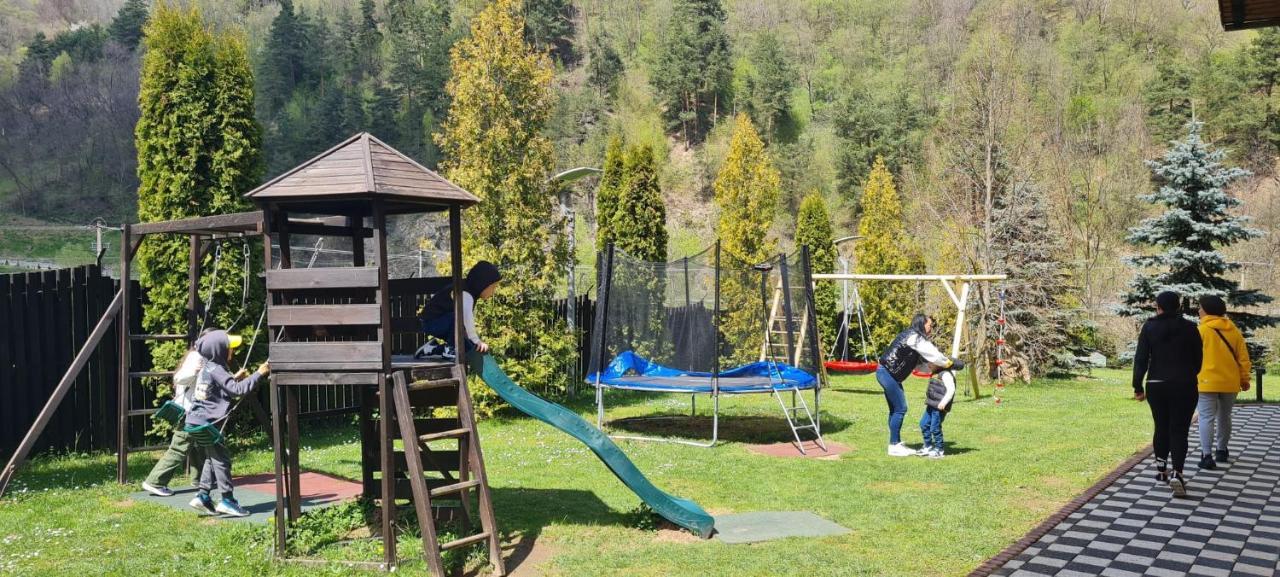 Pensiunea Rau Sadului Bagian luar foto